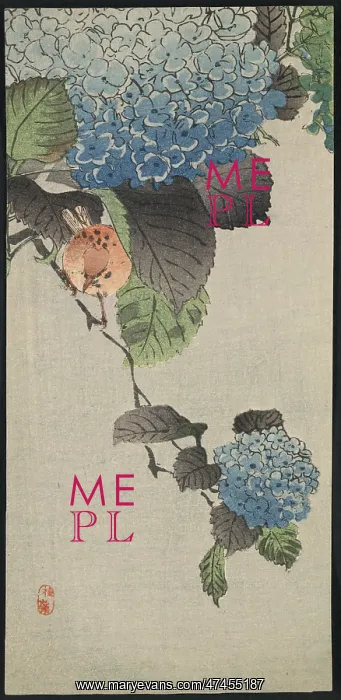 : Small bird and hydrangea : Small bird and hydrangea