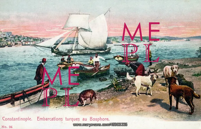 : Small boats ferrying folk from the Asian side of Bosphorus : Small boats ferrying folk from the Asian side of Bosphorus