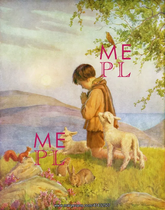 : A small boy in dull clothes prays with animals : A small boy in dull clothes prays with animals