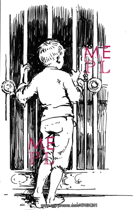  : A small boy looking through bars