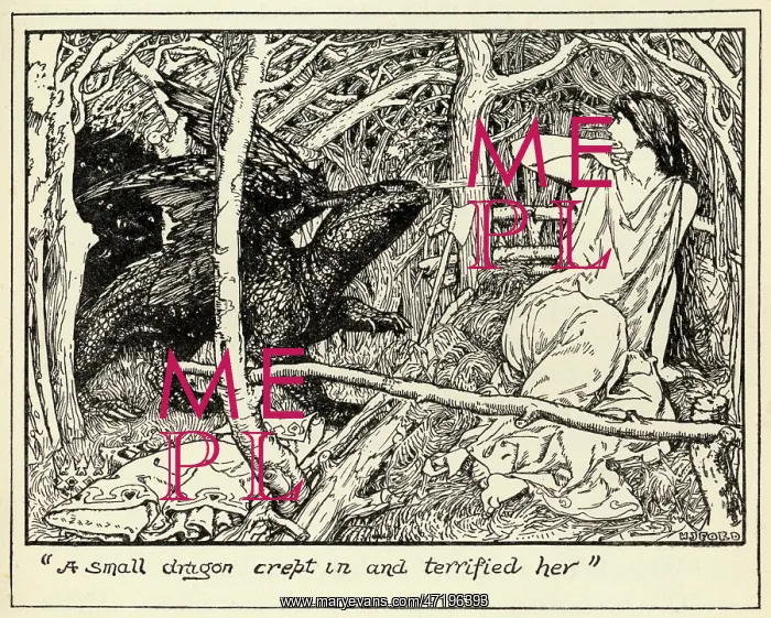 : A Small Dragon : A Small Dragon