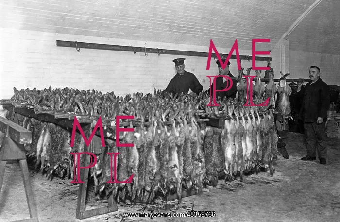 : Small game, 1935 : Small game, 1935