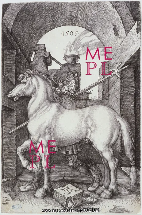 : The small horse : The small horse