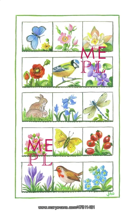 : Fifteen small pictures of flowers and birds etc : Fifteen small pictures of flowers and birds etc