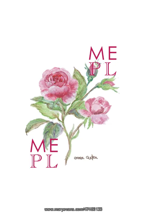  : Small Pink Roses