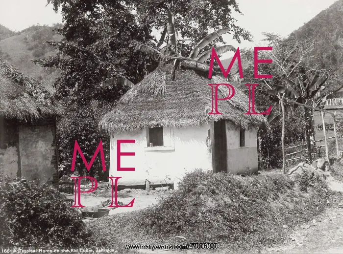 : Small thatched house on the Rio Cobre, Jamaica, West Indies : Small thatched house on the Rio Cobre, Jamaica, West Indies