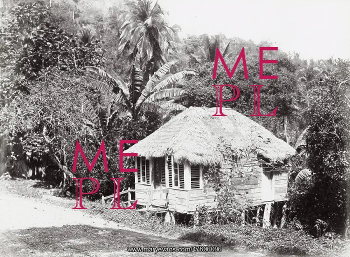 : Small thatched house on the Rio Cobre, Jamaica, West Indies : Small thatched house on the Rio Cobre, Jamaica, West Indies