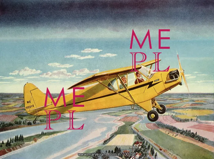  : Small Yellow Plane