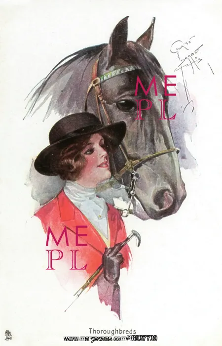 : A smart lady rider with her mount : A smart lady rider with her mount