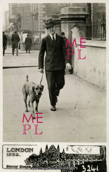 : Smart Londoner taking his Labrador out for a brisk walk : Smart Londoner taking his Labrador out for a brisk walk