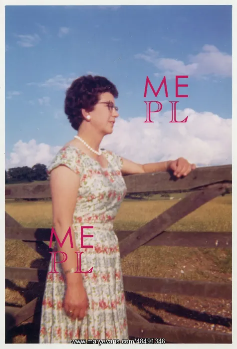 : Smartly-dressed middle aged woman leaning on a gate : Smartly-dressed middle aged woman leaning on a gate
