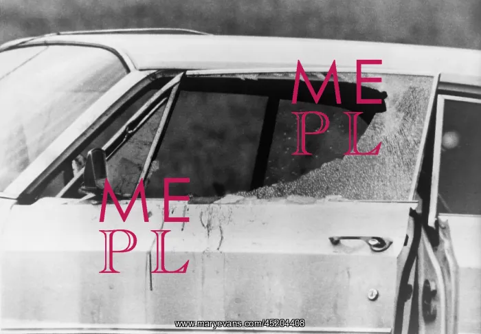 : Smashed car window and bloodstains after ? : Smashed car window and bloodstains after ?