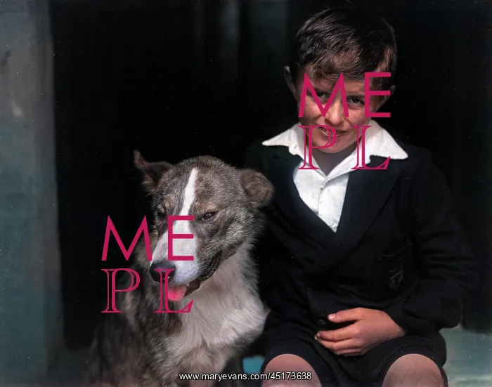  : A smiling boy and his bull terrier dog
