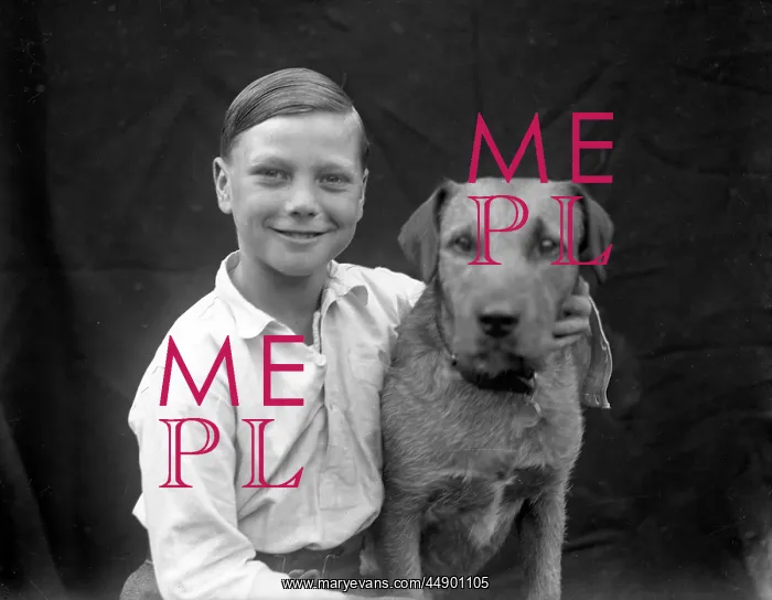 : A smiling boy and his terrier dog : A smiling boy and his terrier dog