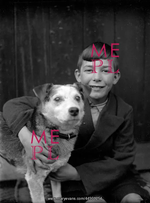 : A smiling boy and his terrier dog : A smiling boy and his terrier dog