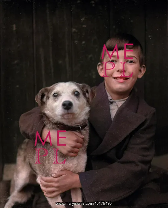  : A smiling boy and his terrier dog