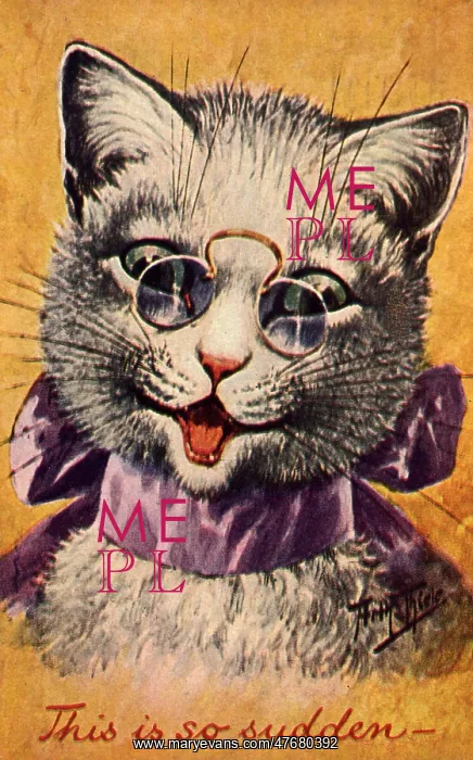  : Smiling Cat Wearing Glasses