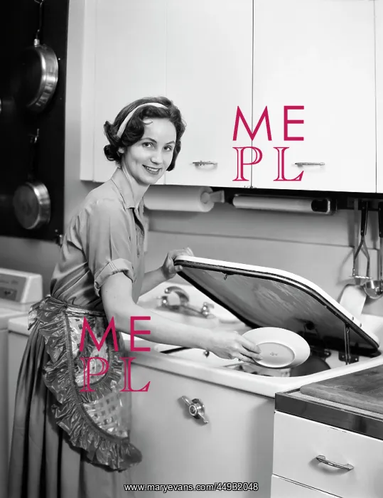 : Smiling Housewife Loading Dishwasher Looking at Camera : Smiling Housewife Loading Dishwasher Looking at Camera
