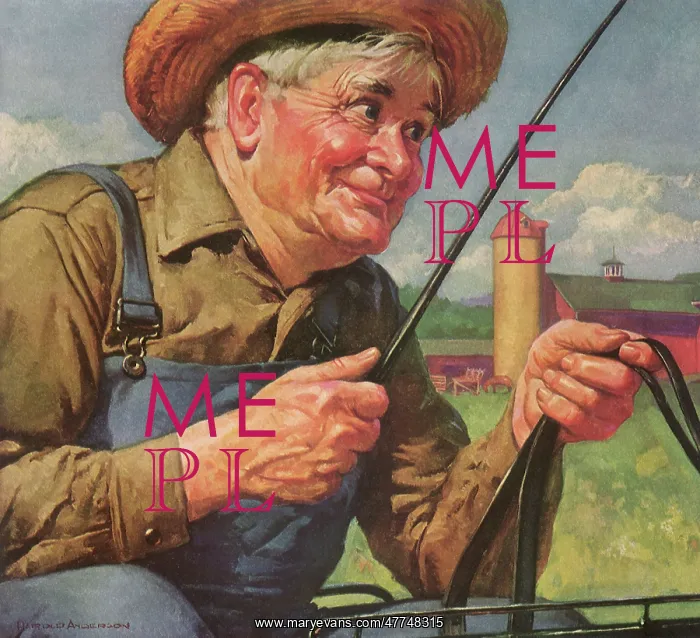  : Smiling Old Farmer