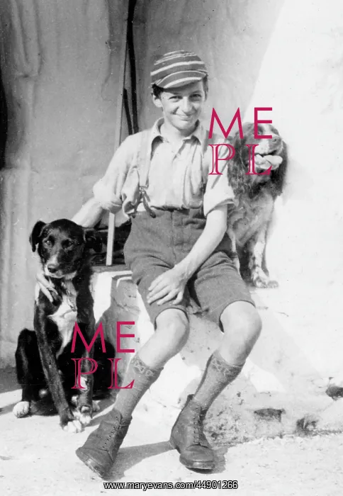 : A smiling schoolboy and his two dogs : A smiling schoolboy and his two dogs