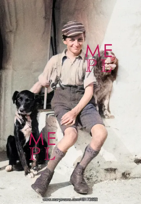 : A smiling schoolboy and his two dogs : A smiling schoolboy and his two dogs