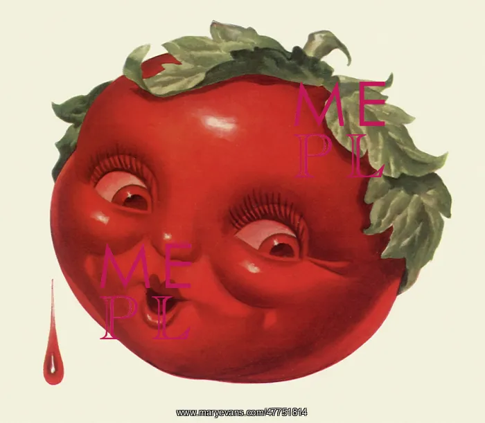  : Smiling Tomato