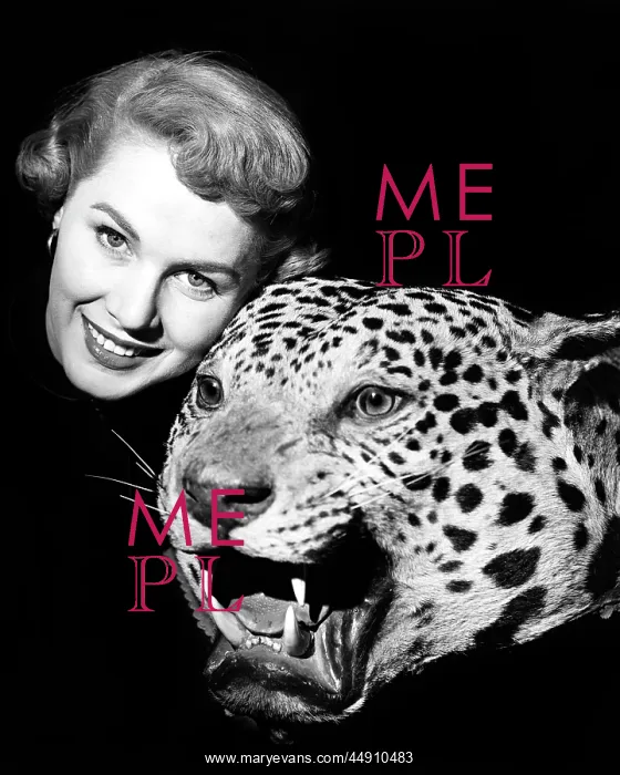 : Smiling Woman Face Looking at Camera Posed with Growling : Smiling Woman Face Looking at Camera Posed with Growling
