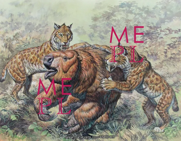 : Smilodon dirk-toothed cats attacking a Glossotherium : Smilodon dirk-toothed cats attacking a Glossotherium