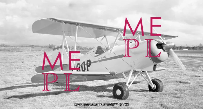 : Smith DSA-1 Miniplane N90P : Smith DSA-1 Miniplane N90P