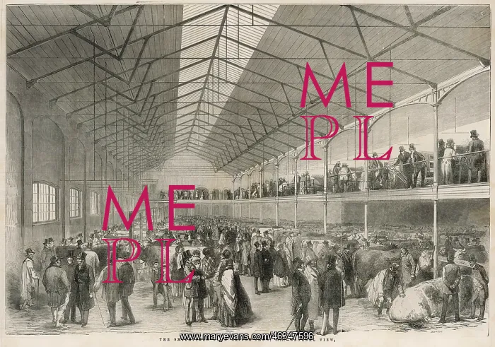 : Smithfield cattle show 1851 : Smithfield cattle show 1851