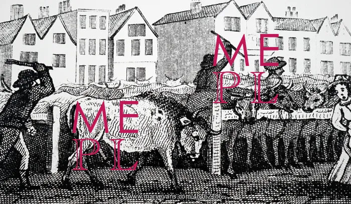  : Smithfield cattle market