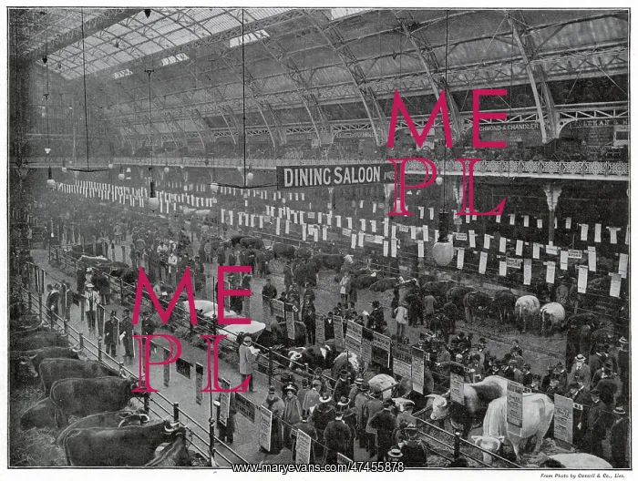 : Smithfield Club's Annual Show : Smithfield Club's Annual Show