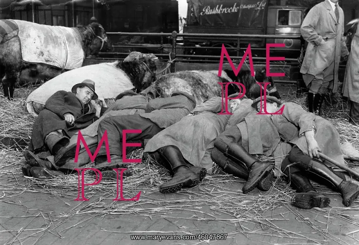 : Smithfield Fat Stock Show 1930 : Smithfield Fat Stock Show 1930