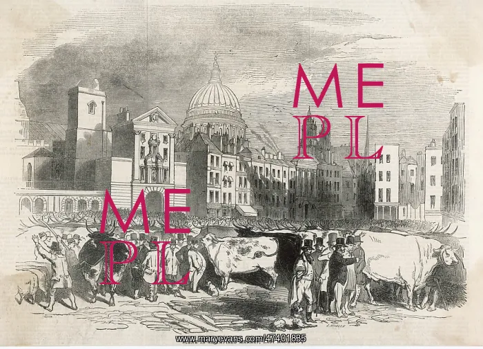 : SMITHFIELD MARKET 1843 : SMITHFIELD MARKET 1843
