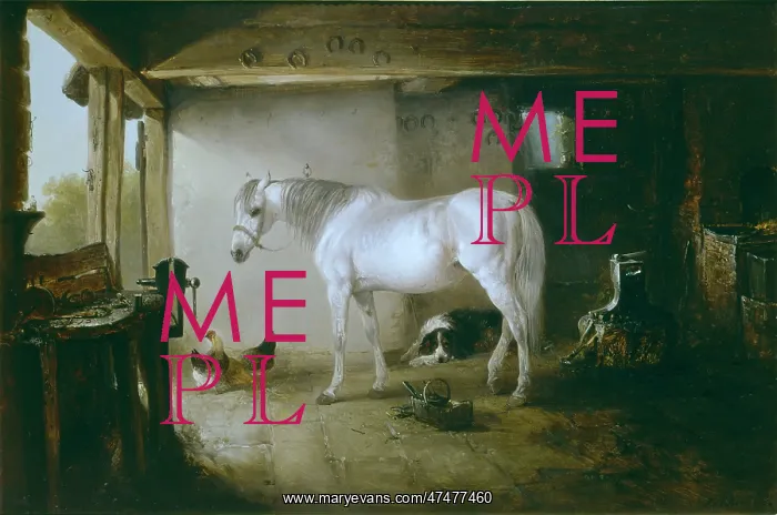 : The Smithy ' white horse, dog and chickens : The Smithy ' white horse, dog and chickens