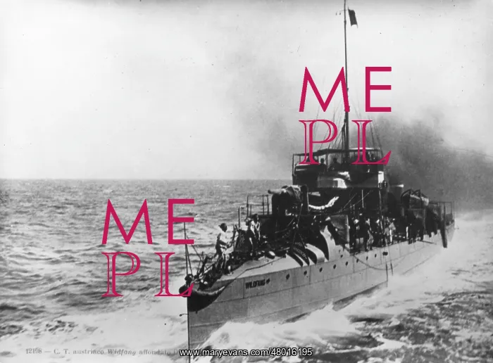  : SMS Wildfang, Austro-Hungarian destroyer, WW1