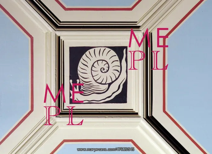 : Snail ceiling panel : Snail ceiling panel