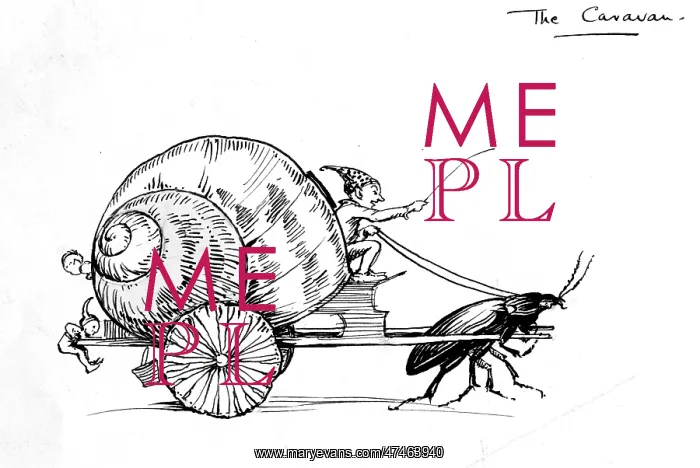 : Snail shell pulled by beetle : Snail shell pulled by beetle