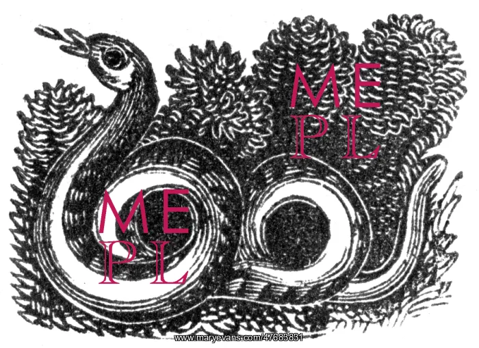 : Snake, c. 1800 : Snake, c. 1800