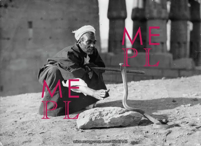  : Snake charmer