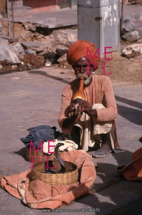  : Snake Charmer