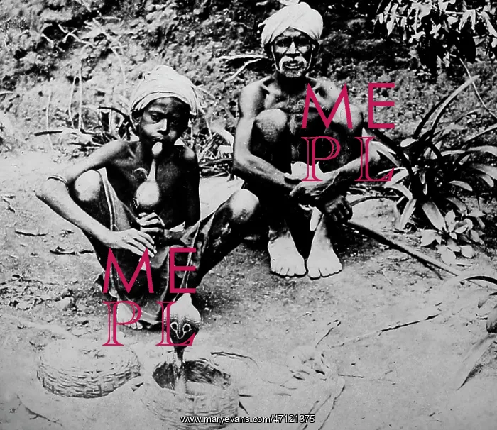  : Snake charmer, India