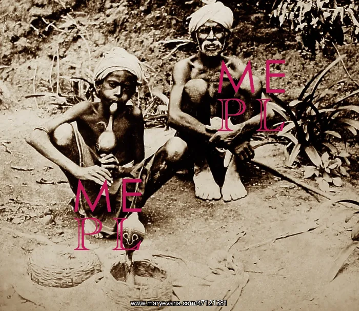  : Snake charmer, India
