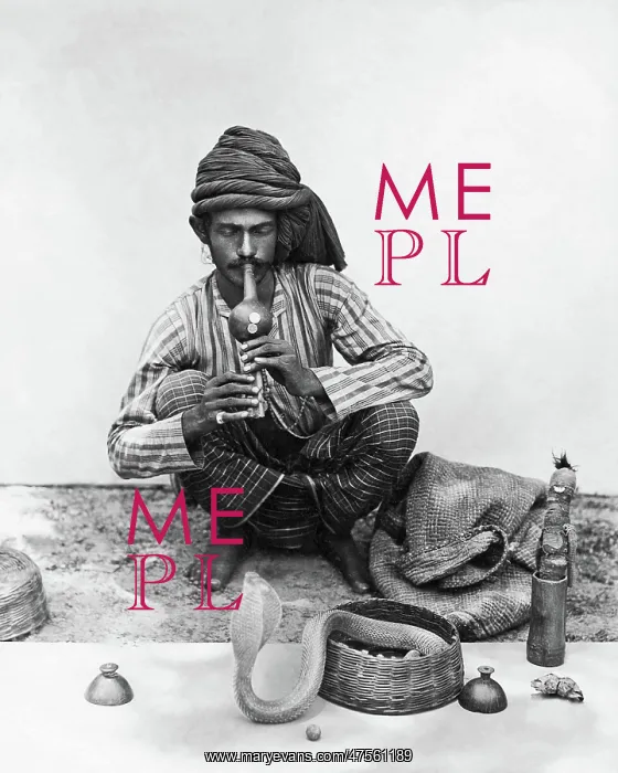 : Snake charmer with snake, India : Snake charmer with snake, India