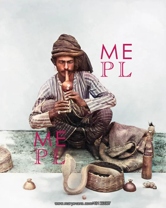 : Snake charmer with snake, India : Snake charmer with snake, India