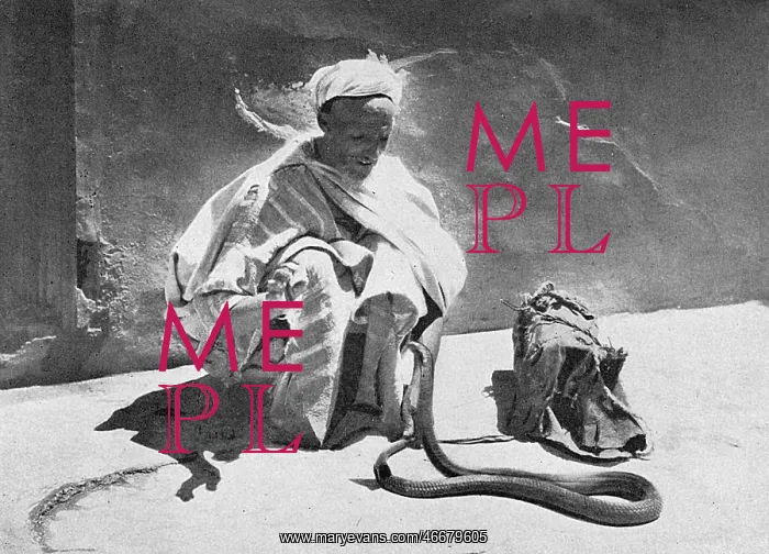: Snake Charmer in the Souks, Marrakesh, Morocco : Snake Charmer in the Souks, Marrakesh, Morocco