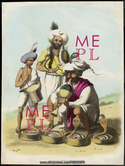 : SNAKE CHARMERS : SNAKE CHARMERS