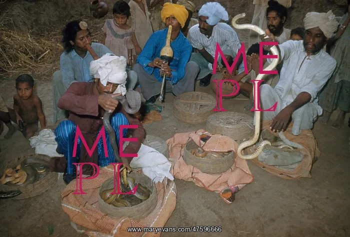 : Snake Charmers : Snake Charmers
