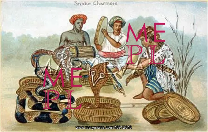  : SNAKE CHARMERS