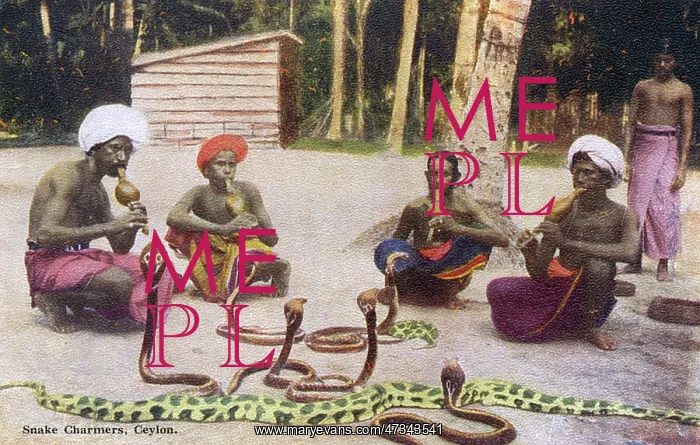 : SNAKE CHARMERS / CEYLON : SNAKE CHARMERS / CEYLON
